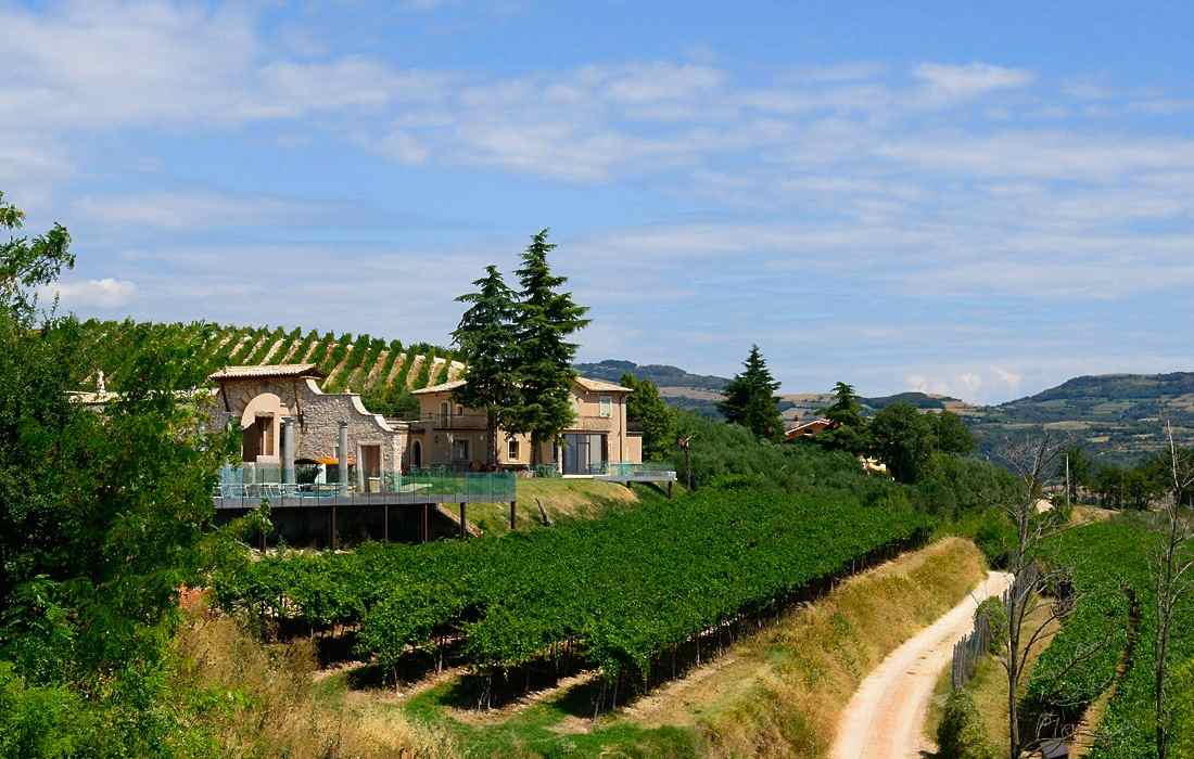 Tenuta le Cave - Le Cave Wine House - Gustorotondo - Italian food boutique