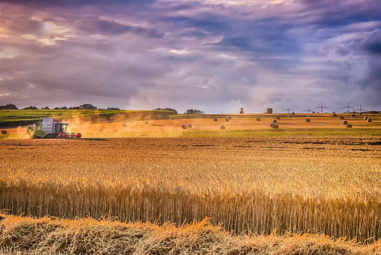 Agricoltura cibo salute ambiente - Agriculture food health environmnent - Gustorotondo - Italian food boutique - spesa online - online food shopping