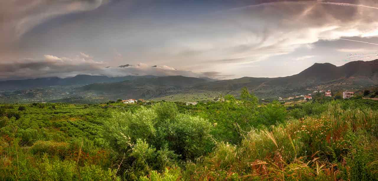 creta panorama olivi - creta sightseeing olive trees - Gustorotondo Italian food boutique - I migliori cibi online - Best Italian food online - spesa online