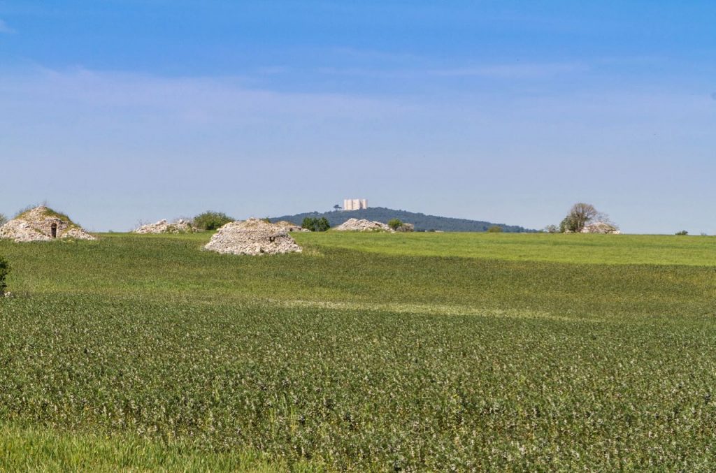 Agricola del Sole - Castel del Monte Murge Puglia - Castel del Monte Murge Apulia - Gustorotondo Italian food boutique - I migliori cibi online - Best Italian foods online - spesa online