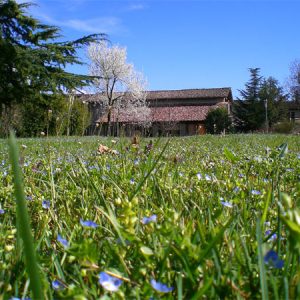 Casa antica Foffani a Clauiano - Foffani antique house in Clauiano - Gustorotondo Italian food boutique - I migliori cibi online - Best Italian foods online - spesa online