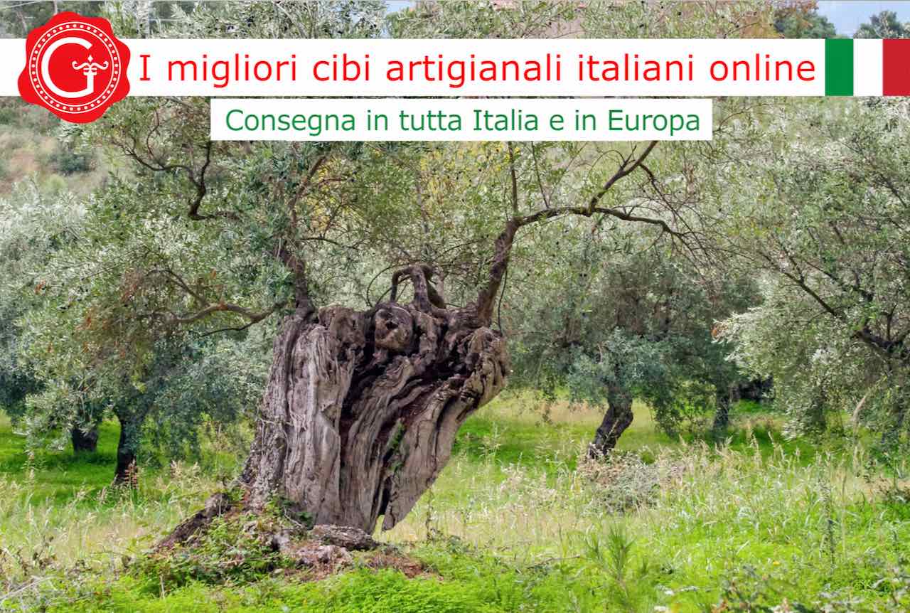 Olio evo significato - Gustorotondo - Gustorotondo online shop - vendita online dei migliori cibi italiani artigianali - best authentic Italian artisan food online