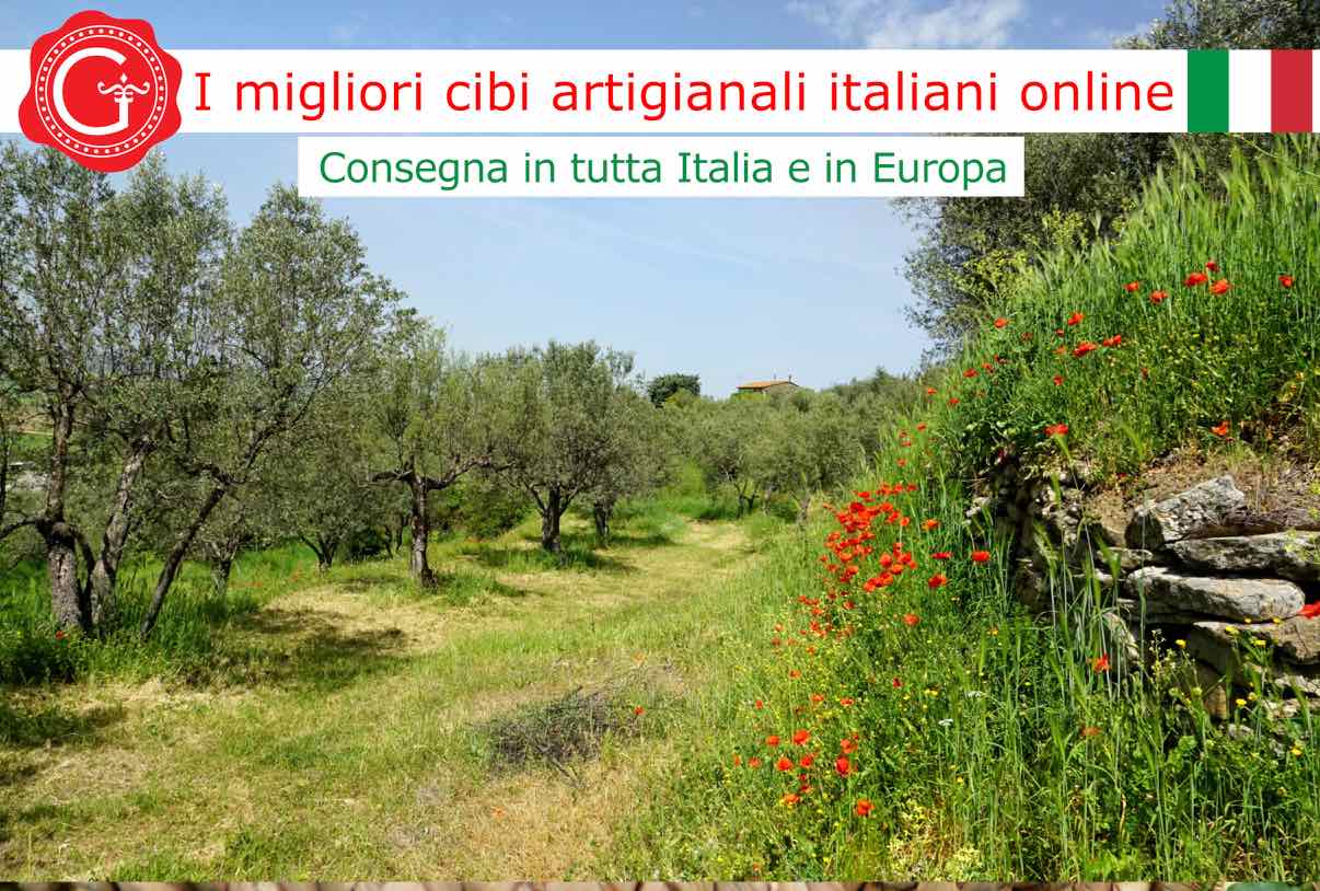 calorie olio extravergine di oliva - Gustorotondo - Gustorotondo online shop - i migliori cibi online - vendita online dei migliori cibi italiani artigianali - best authentic Italian artisan food online