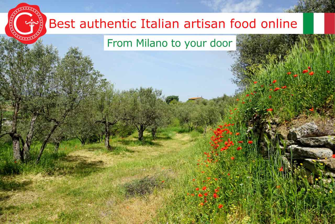 olive oil calories - Gustorotondo Italian food shop - best authentic artisan Italian food online - vendita online dei migliori cibi artigianali