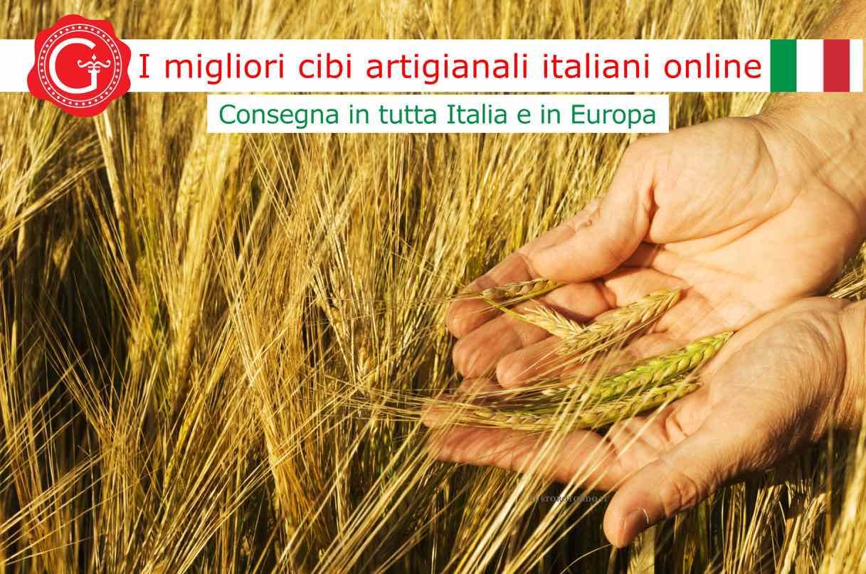 grano duro - Gustorotondo - Gustorotondo online shop - i migliori cibi online - vendita online dei migliori cibi italiani artigianali - best authentic Italian artisan food online