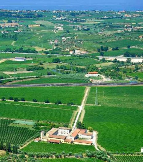 Bellora-Tenuta-di-Naiano-olio-extravergine - Gustorotondo