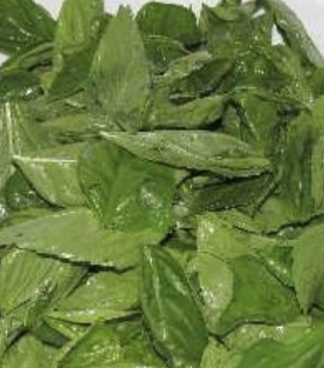 Prunotto Mariangela basilico per pesto bio - Gustorotondo - buono sano artigiano - spesa online