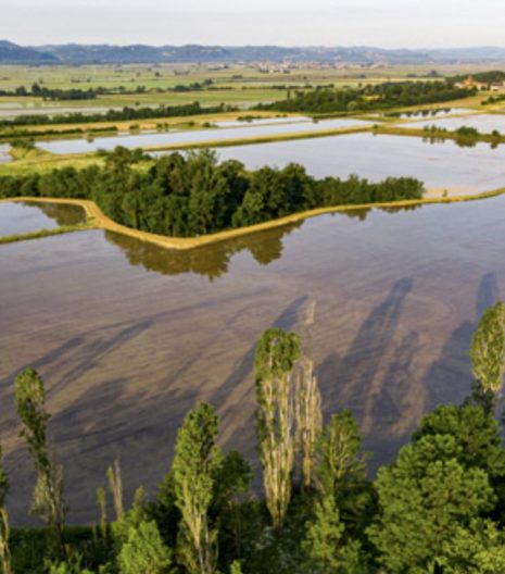 Principato Lucedio primavera - Gustorotondo - buono sano artigiano - spesa online